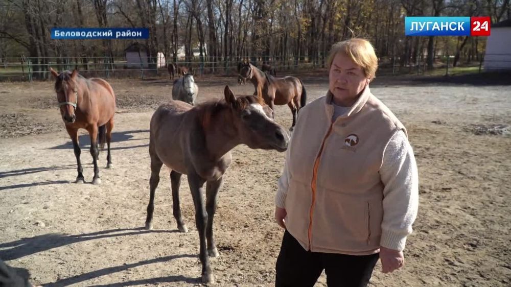 ����������� ������ ����� ������� 32 �������� �������