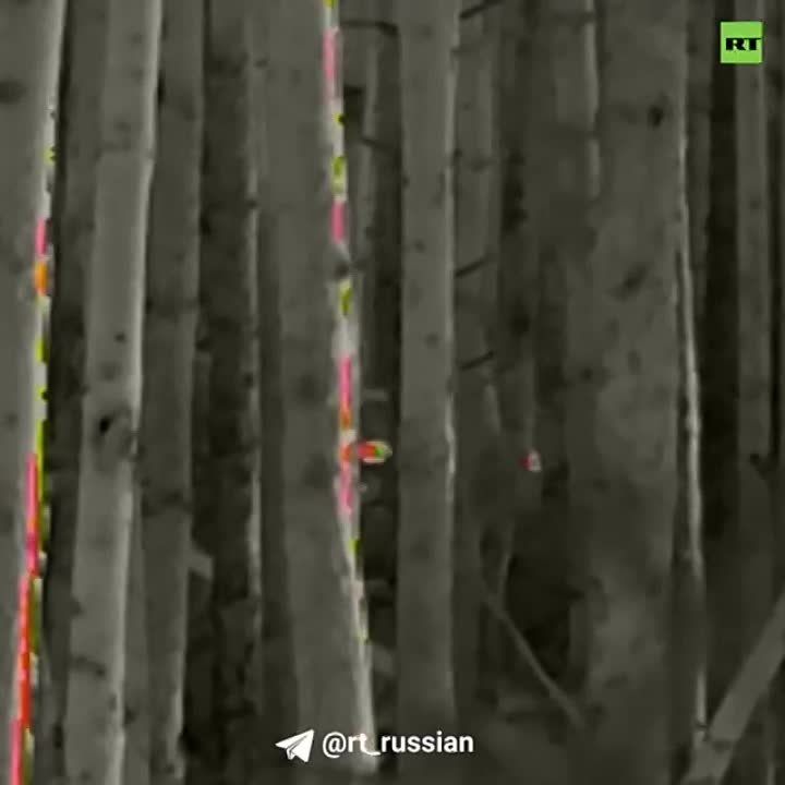 ���������� ����� ������ ��������� ��� � ���� ��� ��������� (���)