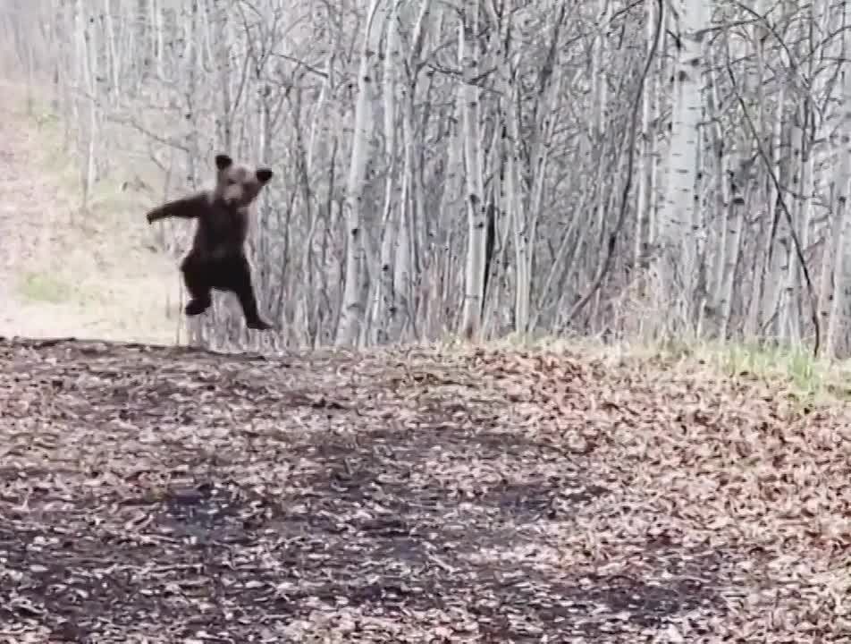 �������� ������� �� �������