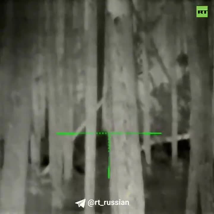 ����� �����: ���������� ����� ������ ��������� ��� � ���� ��� ���������