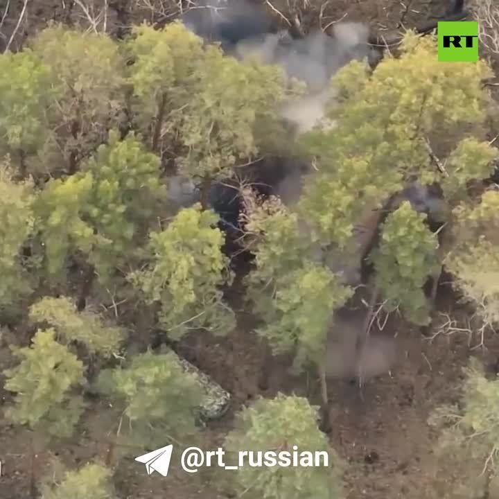 ����������� ������������ ��� � ������ ����������� (���) �������������� ����� ����������� �����
