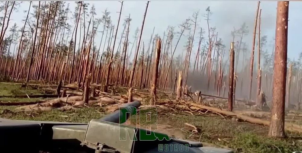 �������� ���������: ������ ����, �� �� ������. ���� "��������" �������� � ����� ���������� �������� ��� � ������������ �����������