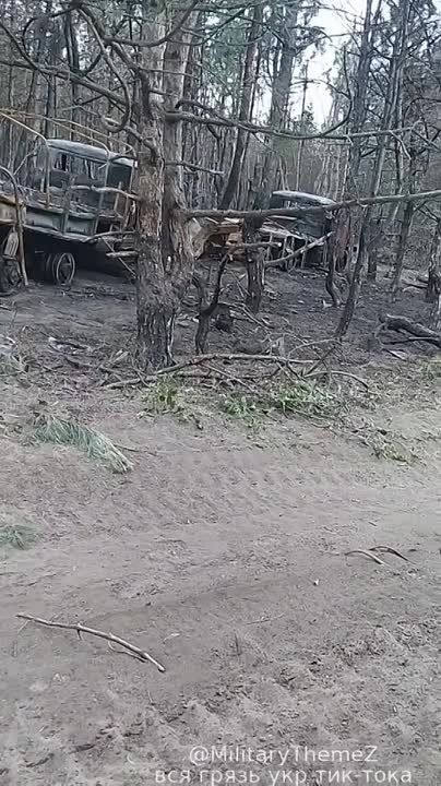 ������� �������: ����� � ������������ ������������� � ������������� �������� �������� ��� ��������� � ����� ���������