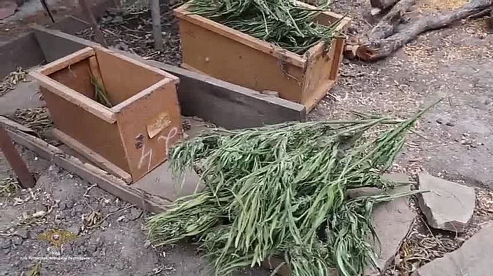 � ��� � �������� ������ ������ ����� 10 �� �������