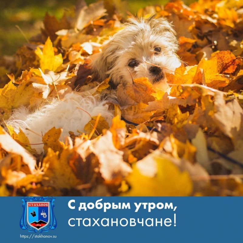 � ������ �����, ��������. ���� ���������� ���������� ��� ������� ��������� � � Telegram #�������� #�������_���������