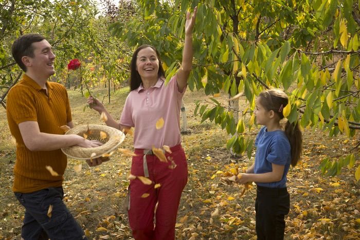 ����� ������������ ������� ��� ������ ������ �� ������� � �������� "��� � ��� ��������", ������� ���������� ������������� ��������� "������ � ������ ������������", ���� ������ ��������� ������� �� 18 �������