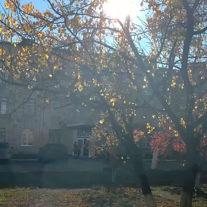 �������� ������ ���������� ���� ������� ������� ������
