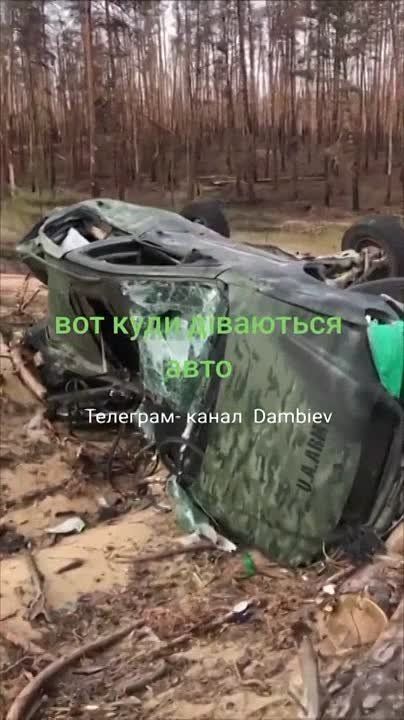 ������ �������: ������������ � ����� ��� ��������� ��������� �������������� ���������� �������������