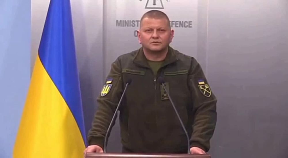 ������ �������: ������� ���������. @marochkolive
