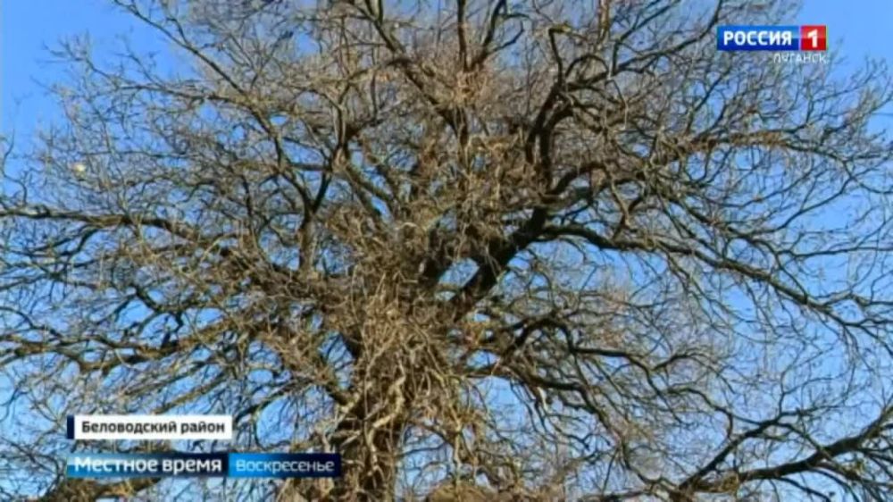 ����������� ������ ����� ���������� � ����