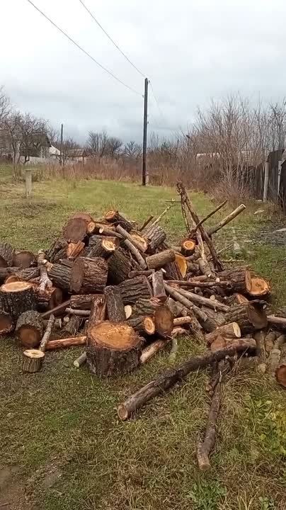 �������� ��������: ������� ������� ������ �����, � ������� ��������� ���������, �� ��������� �������� ����������� � �������, ��� ���� � �������� ������� ������������� ����� � ��������