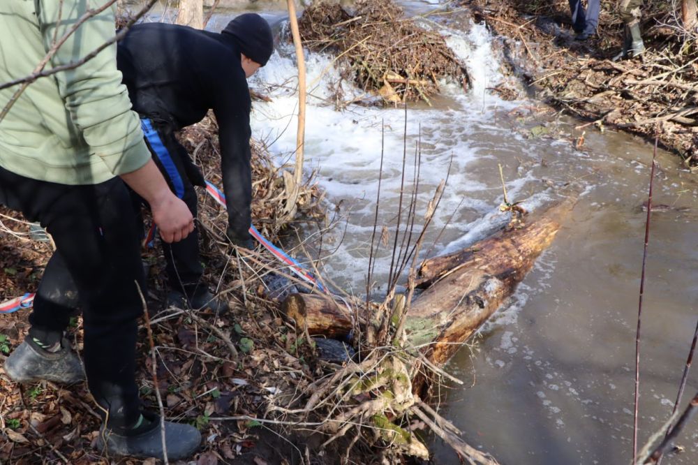 ������������ ������ ��������� � ��������������� ������� ��������� �� ��������� ����� ����