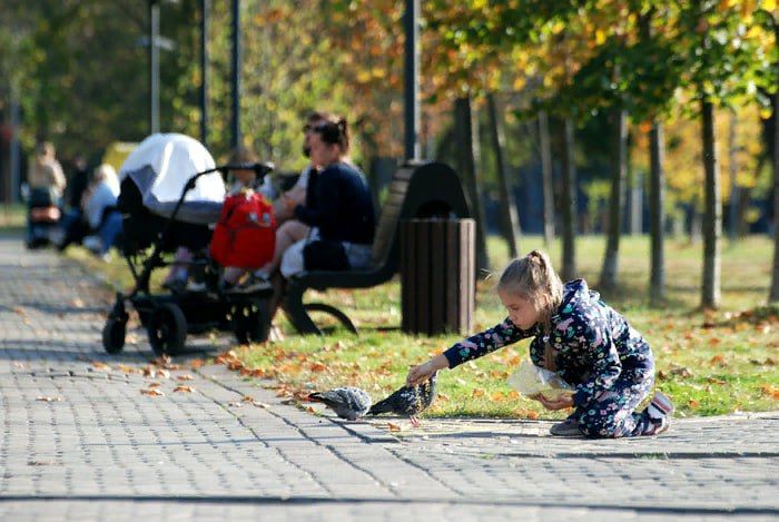 ���, ���, ����������� �������, ���������� �������