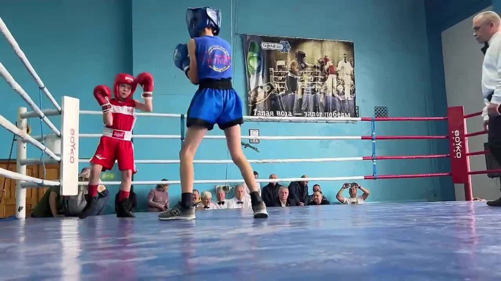 11 ������ � ������� ���� ���������� �������� ���������� �� �����, ����������� ������ ������������ ������� ���� �������� ��������