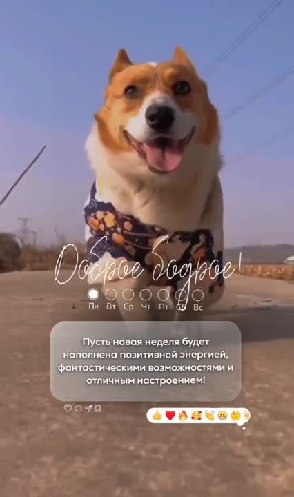 �������������� �� �����