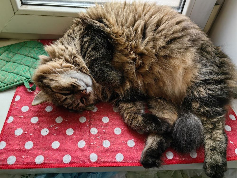 ���� ���������: ���! �� ������� ����� ��� ���������� ������������