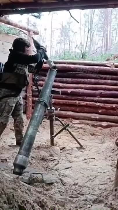 �������� �������� ������ ���������� ������� ��� ���������