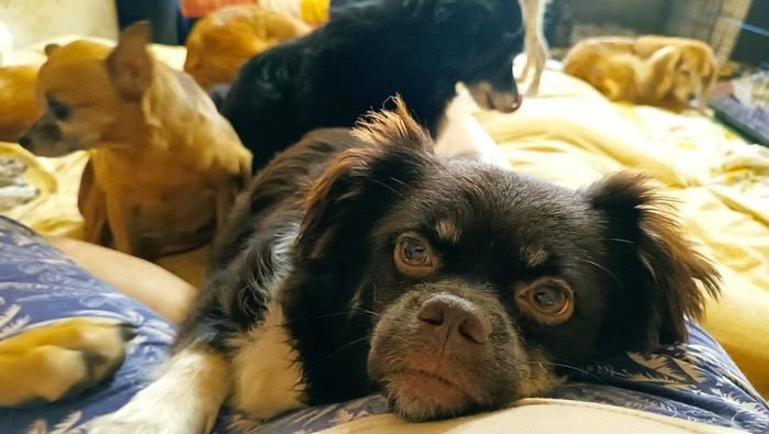 ��������� ������������ ��������� ���� �� ��������� ���� ������� ��������� ����������������� ����� "������� ���� �����" �� ����� ������ ��� ��������� ��������