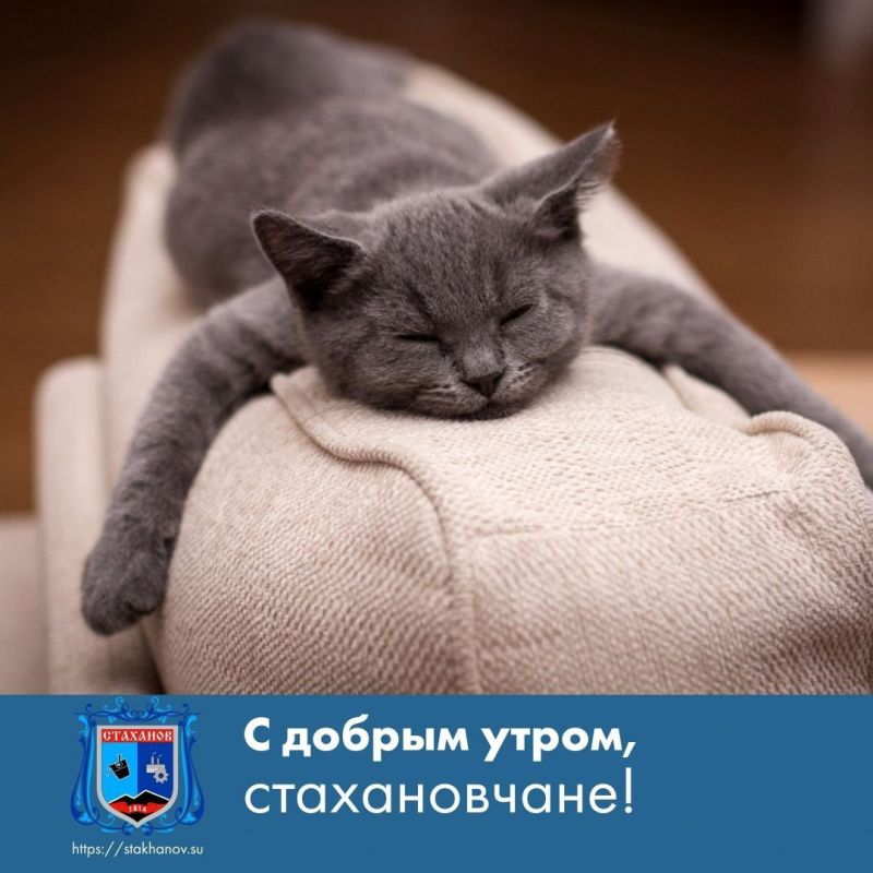 � ������ �����. ���� ������� ������������. ��� ������� ��������� � � Telegram #�������� #�������_���������