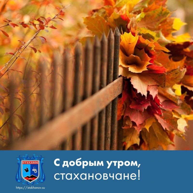 � ������ �����, ��������. ��� ������� ��������� � � Telegram #�������� #�������_���������