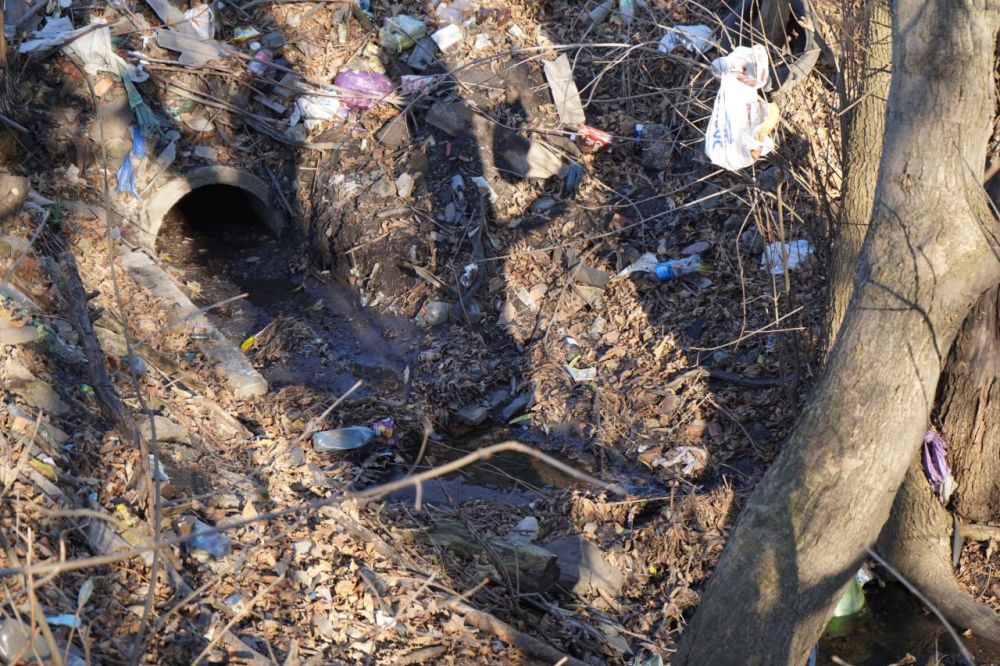 ������ �������: ��������� � ������������ ����� ������������� ������ ����������� � ����������� ���������� ���, �������������...