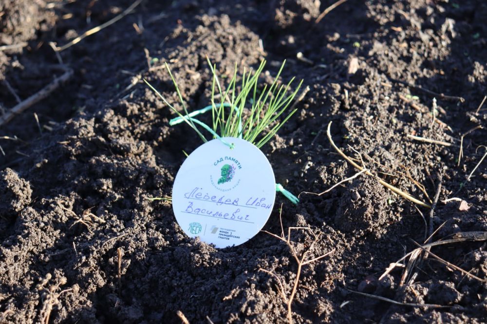 ������ ������: ��������� � ������������ �����������, ��������� 11 ������ � ���������� ���������� ������� ����� ������ ������� � ������� �������� �������� ����� �� ���������� ����������� ��������������� ��������� � ������ ����� "��� ������"