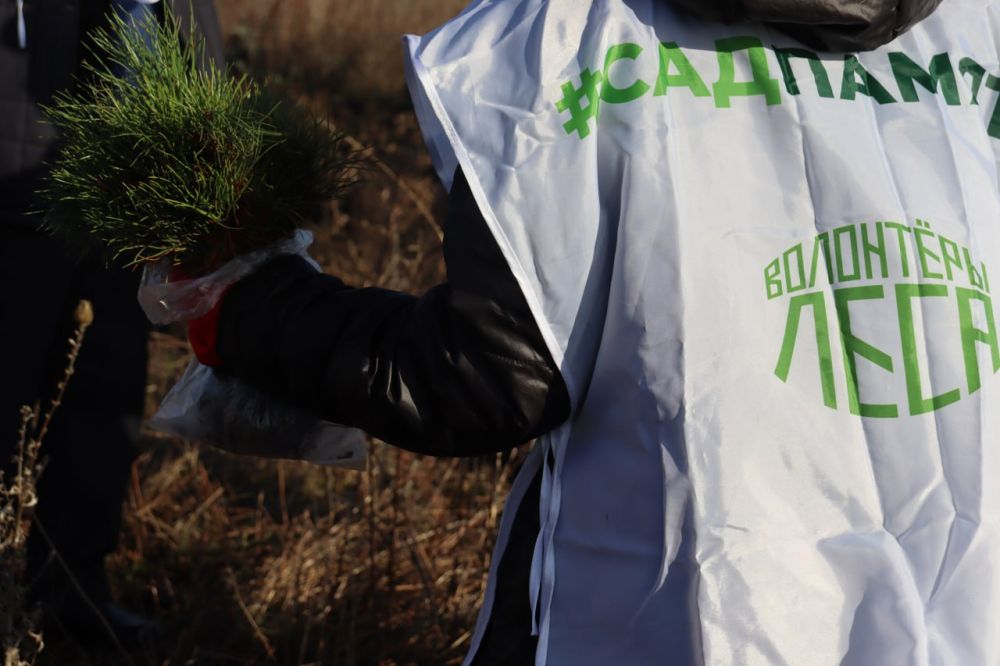 �� ���������� ����������� ��������������� ��������� ������ ������� �������� �������� ����� � ������ ����� "��� ������"