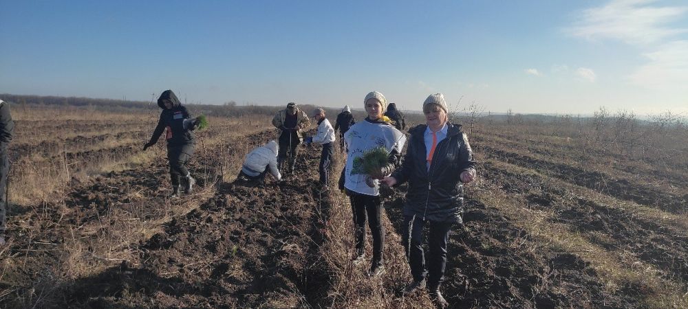 ��� ��� ����������� ������������� ��������� �������� ����� 9 ����� ������� ����� �� ���������� ����������� �����������