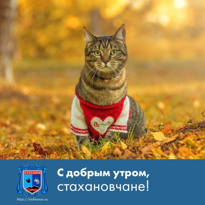 � ������ �����, ��������. ��� ������� ��������� � � Telegram #�������� #�������_���������