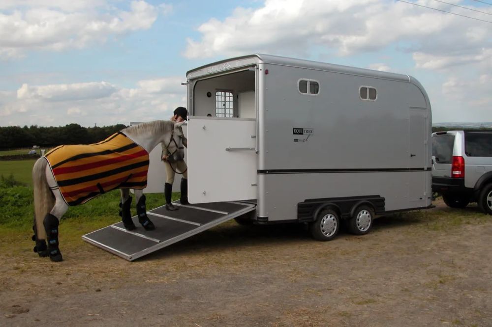 Минспорт ЛНР прорабатывает вопрос восстановительных работ в Луганской конно-спортивной школе, об этом в ходе прямой линии с жителями Республики рассказал министр спорта ЛНР Олег Шеренешев