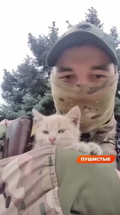 Дарья Лантратова: Ничего милее вы сегодня уже не увидите