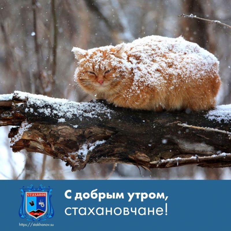 � ������ �����, ��������. �� ����� �� ���������� � ����������