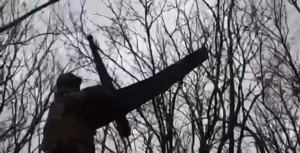 ��������� ���: ���������� ������� ������ �������� ����������� RQ-20 PUMA ������������ ���, ������� ��� ������������ � ����������� ������� ��� ���������� �� ��������