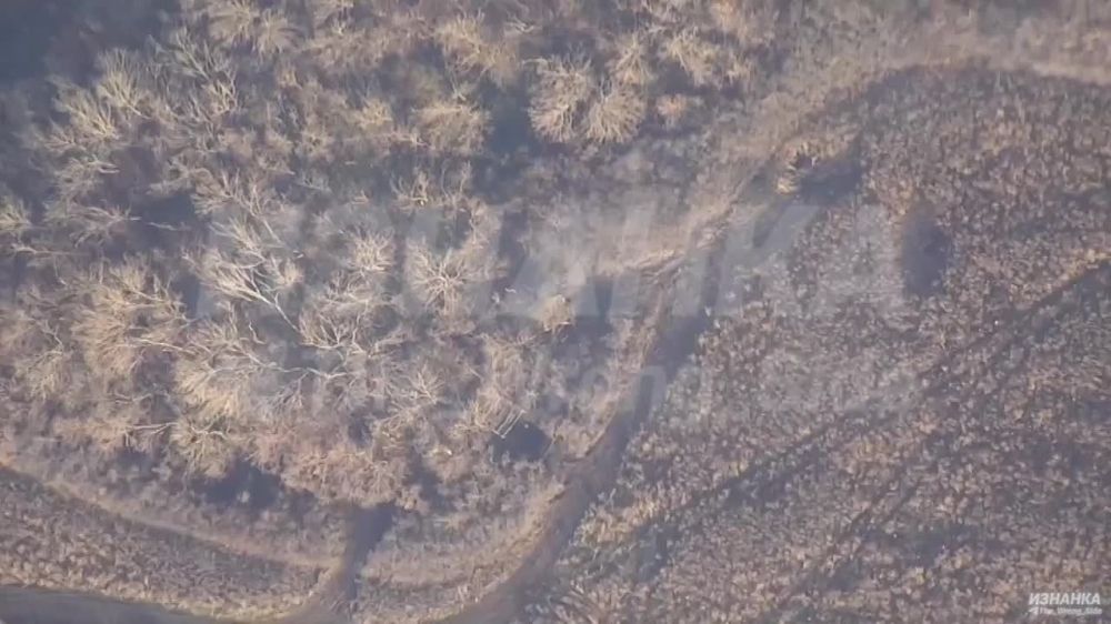 ������� �������: ���������� �������� ���������� ���������� �������� �� �� ���������� �����������