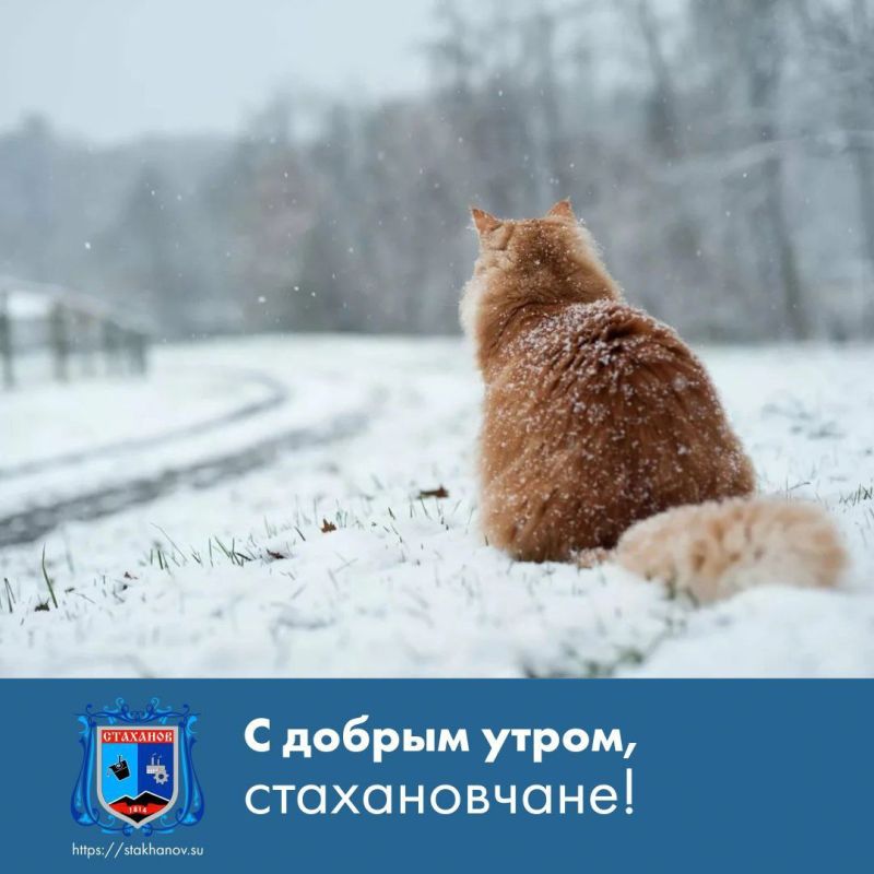 ������ ����, ��������. ������� ������� � ��������, ������ ��������� ��� ������� ��������� � � Telegram #�������� #�������_���������