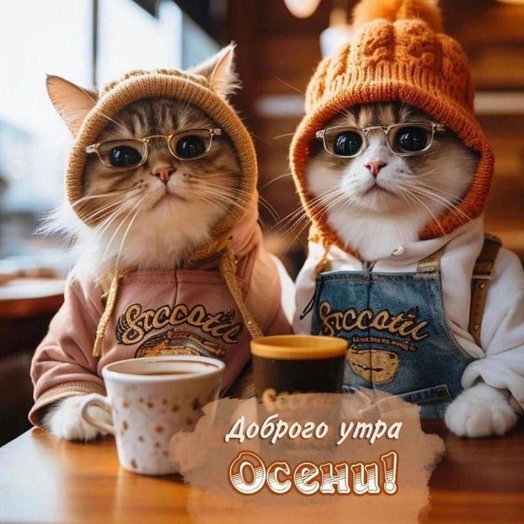 � ������ �����! �������� ��� � ���������� ������ ��� ������ ���)