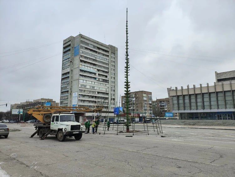 "Комбинат зеленого хозяйства и благоустройства" в этом году установит в Луганске восемь елок