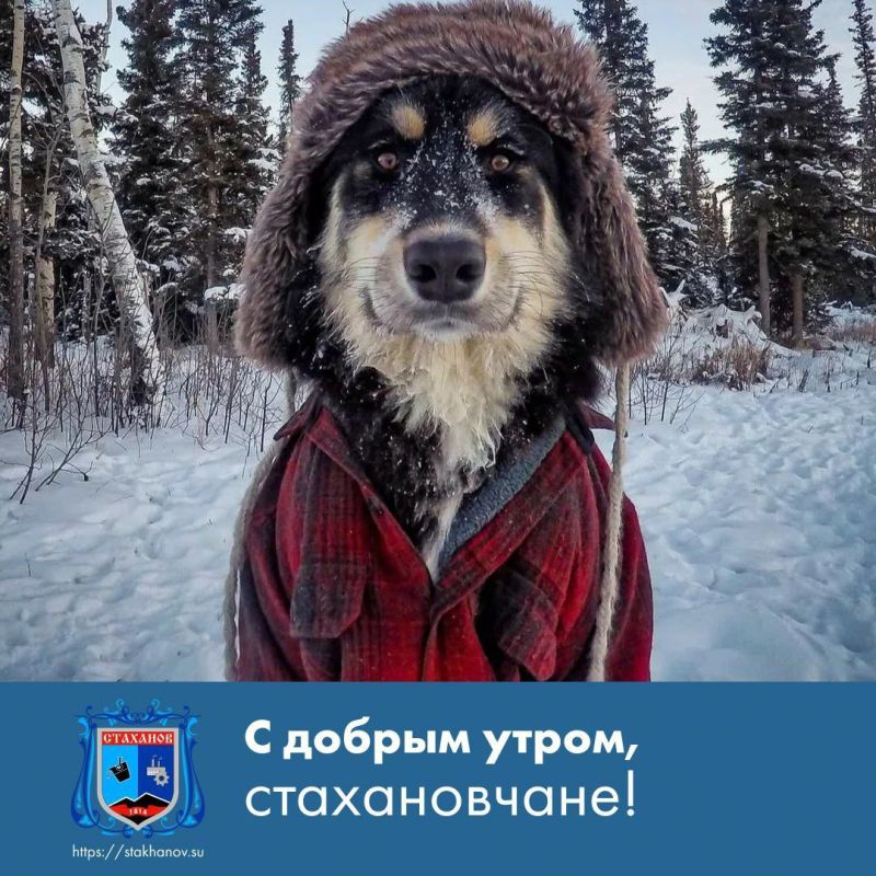 ������ ����, ��������. ���������� ��� ������� ��������� � � Telegram #�������� #�������_���������