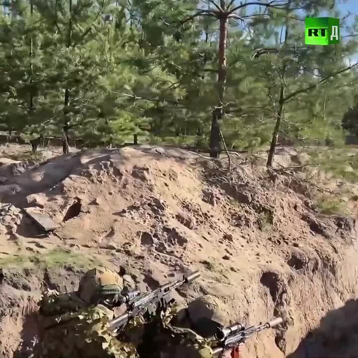 ���������� ���� ������������������, ������ ��� ��������� ���� �� ����� �� �����