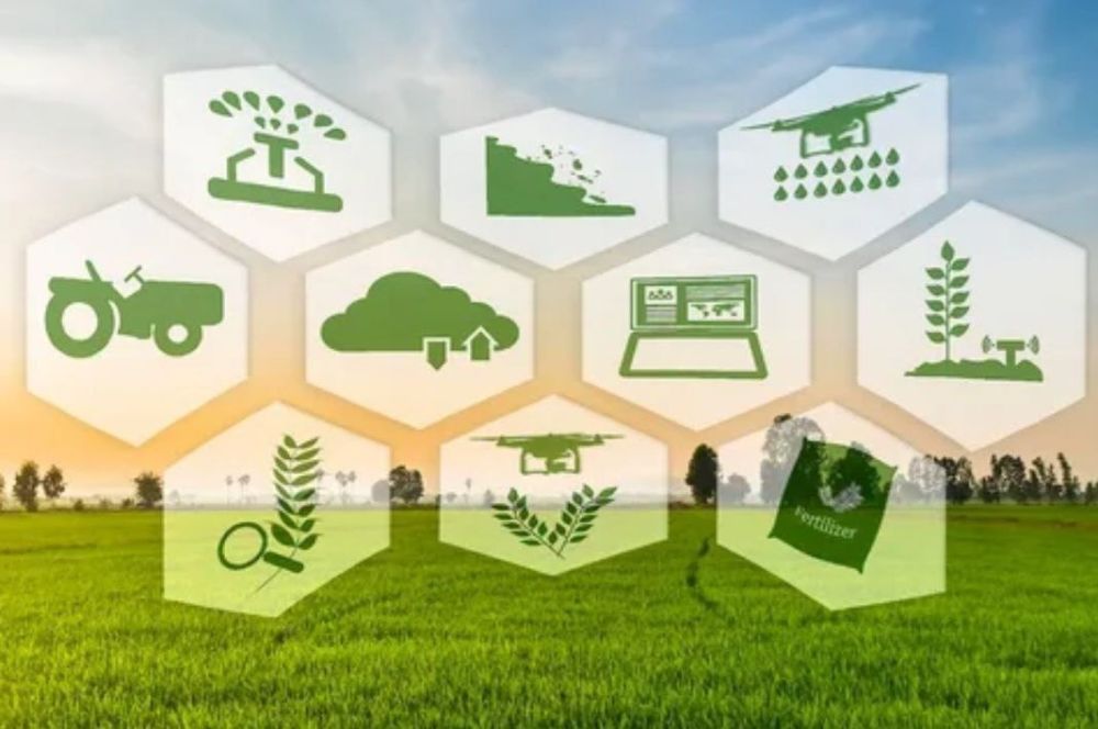 ������� �����: ���������� ����: ���� �� ������������