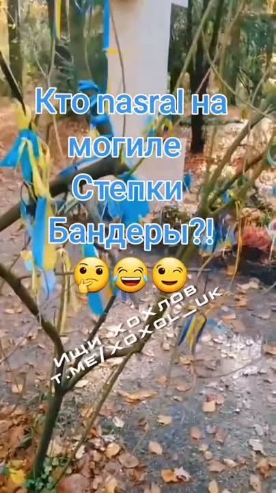 "��-��-��...". ���-�� ������ ��������� ������ �������