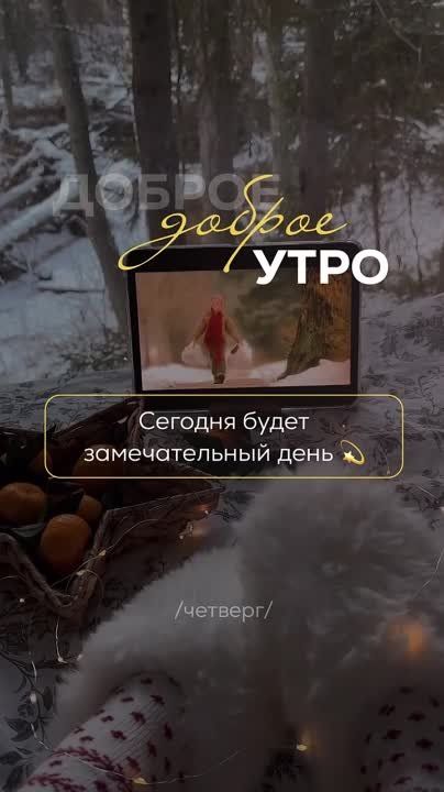 �������������� �� �����