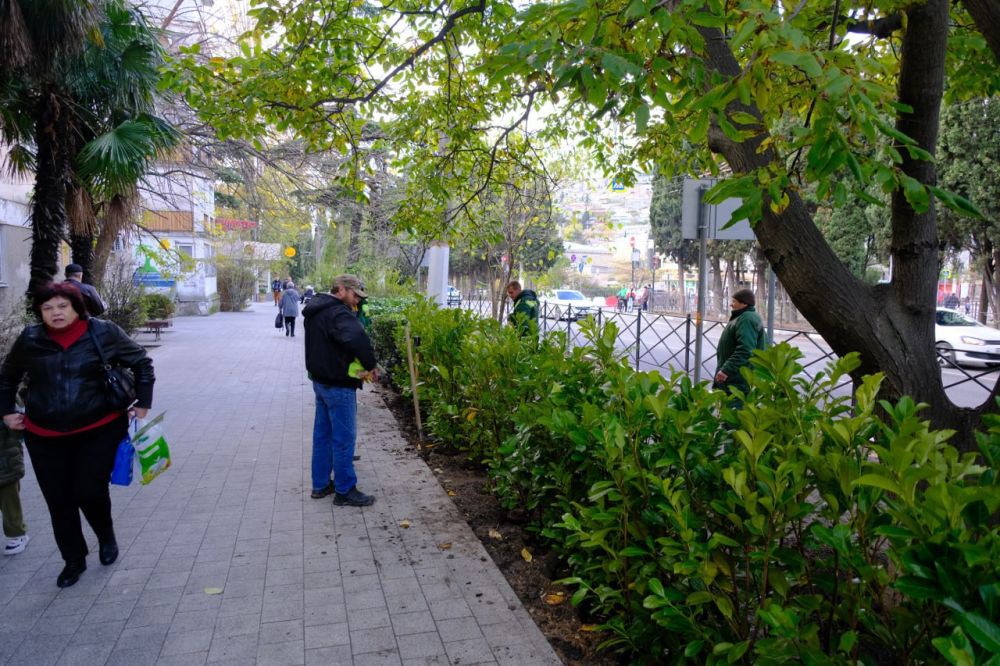 ����� ��������: ��������������� ����� �������� �� ���������� � �������� ����� ������ - ������� ����� ��������� 600 ������ ����������