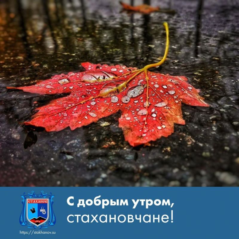 ������ ����, ��������. ������� ��� ������� ��������� � � Telegram #�������� #�������_���������