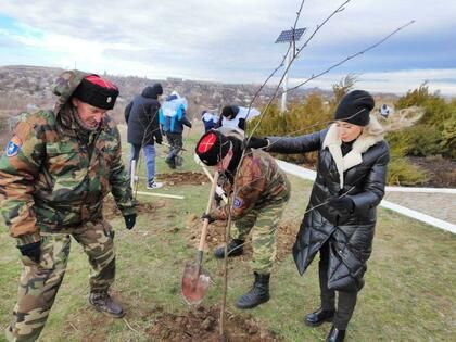 ����� "��� ������" ������ � ��������, ��������, ���������, ���������� � �����������