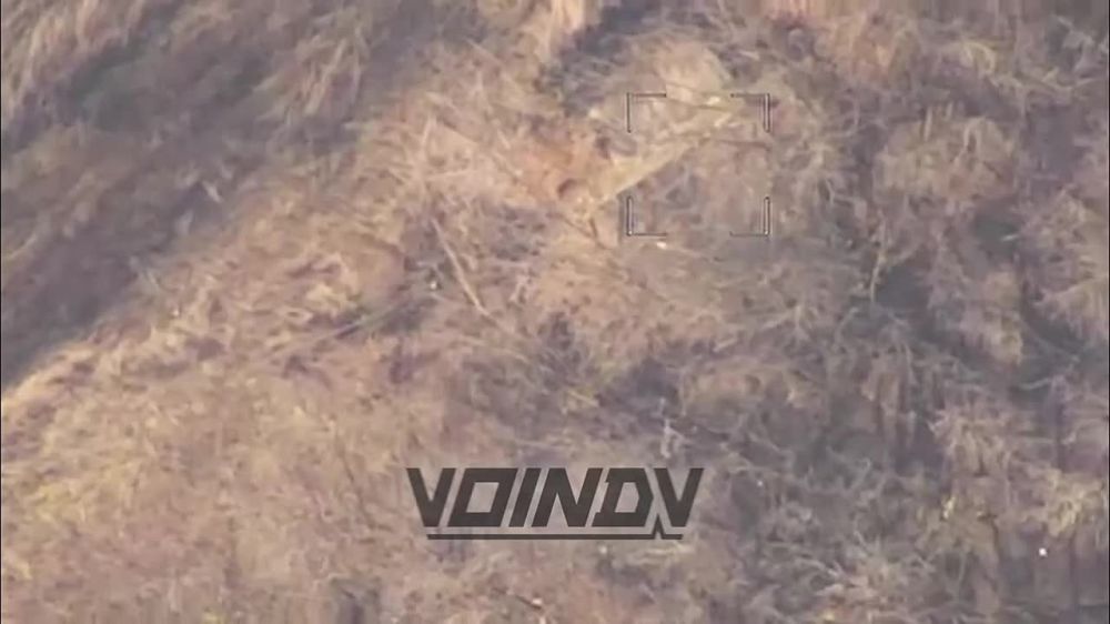 "�������" ���������� ���������� ���������� � ������ ����� �� ����� ������