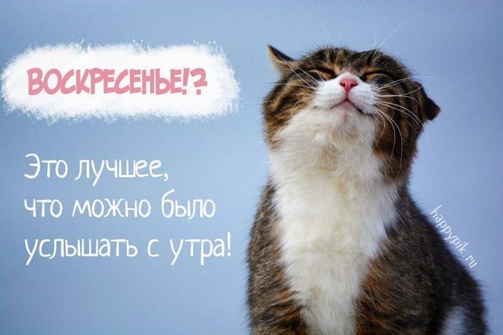 � ������ �����)