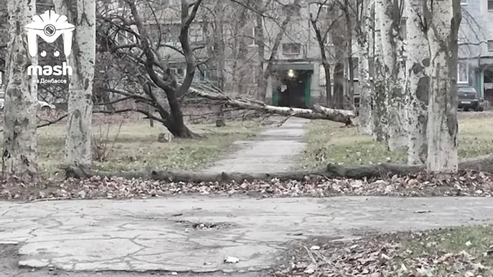 � ��� ����������� �� �������� ������ ����� � ���