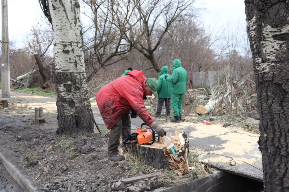 �� ���������� ��������������� �������������� ������ ������������ ���������� ����������� ��������