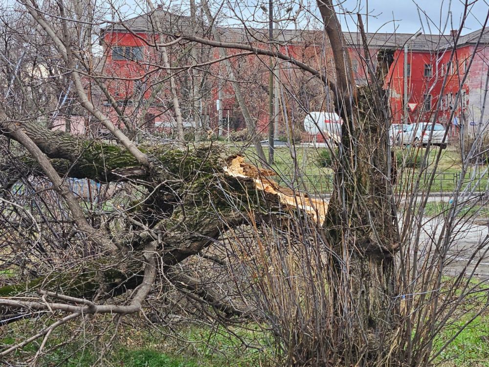 �������, ��� � ��� ���������� ���, �� ���������� ������ ���������� ���������� �����